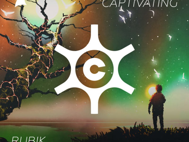 Colour Theory (Single)