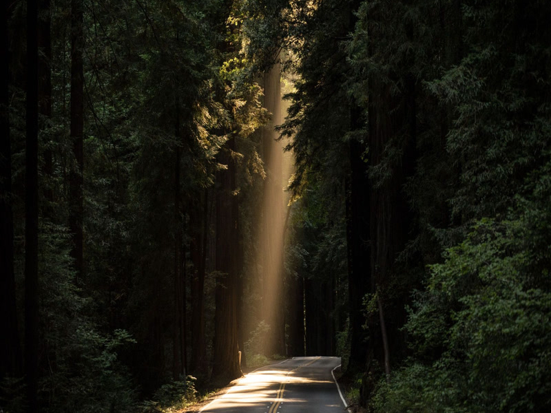 Infinite Sleep Music (Single)