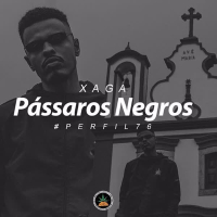 Pássaros Negros (Single)