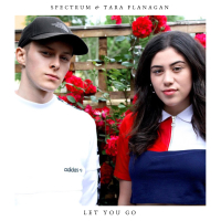 Let You Go (feat. Tara Flanagan) (Single)