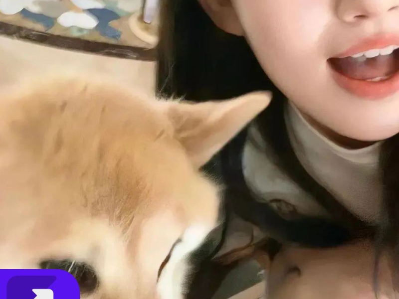 得不到的爱就放手吧 (EP)