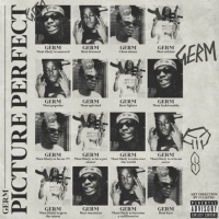 PICTURE PERFECT (Single)