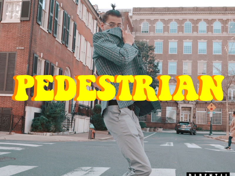 Pedestrian