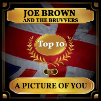 A Picture of You (UK Chart Top 40 - No. 2) (Single)