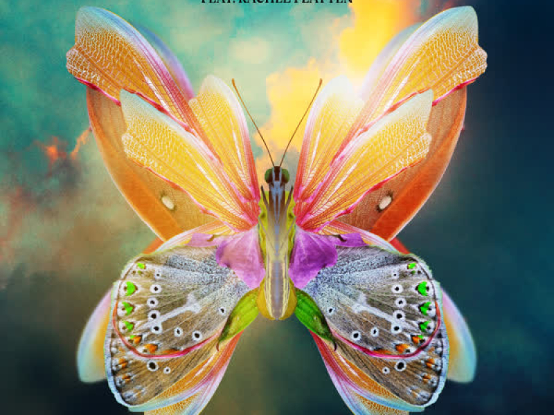 Little Bit of Love (Single)