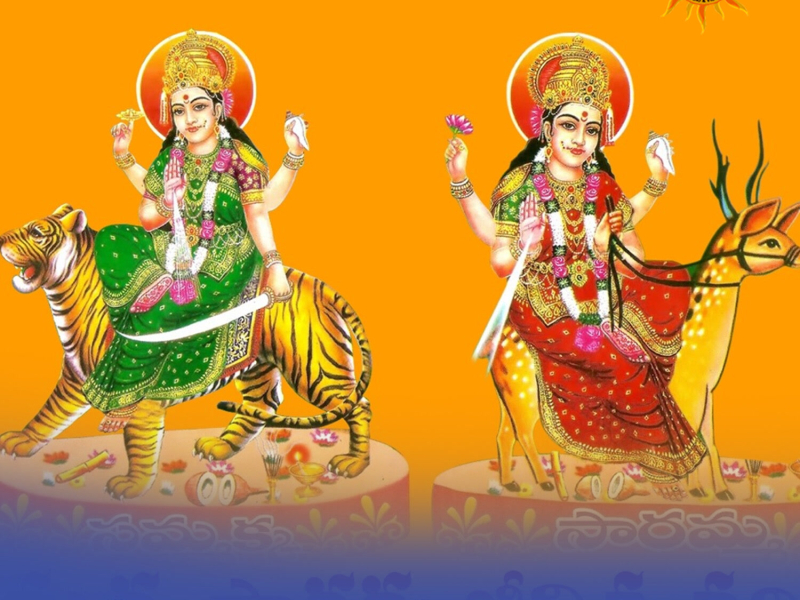 Sammaka Sammaka (Single)