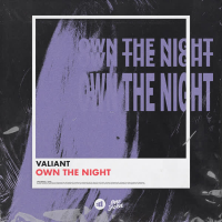 Own the Night (Single)