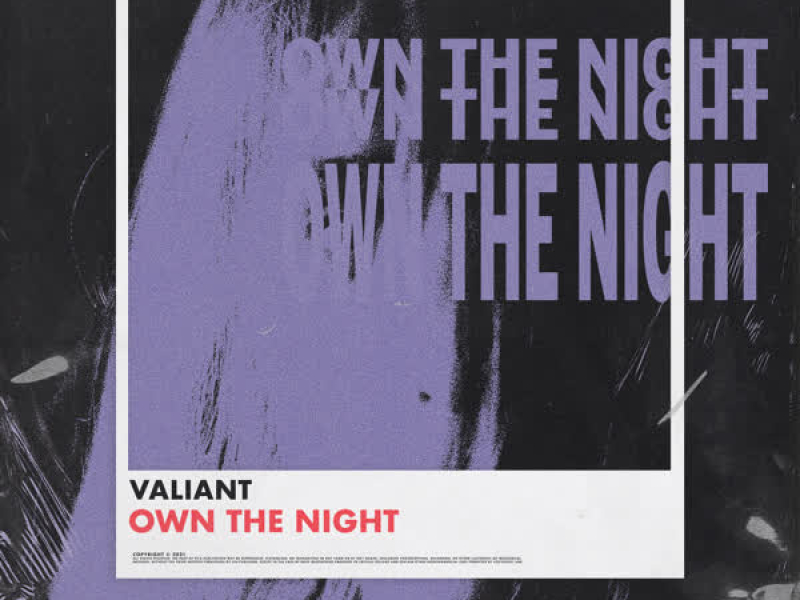 Own the Night (Single)