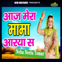 Aaj Mera Mama Aarya Se (Single)