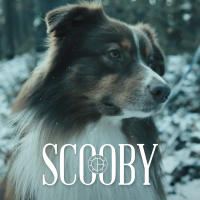 Scooby (Radio Edit) (Single)