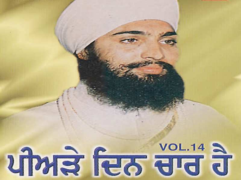 Peearhey Din Chaar Hai Vol-14