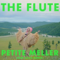 The Flute (Dom Zilla Remix)