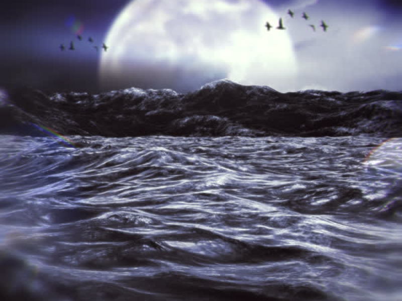 Love Me Better (Single)