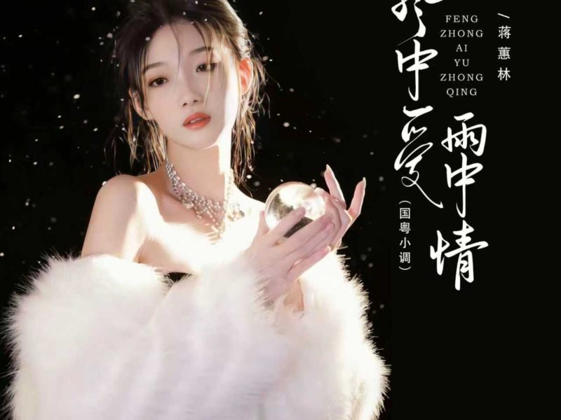 风中爱雨中情 (国粤小调) (EP)