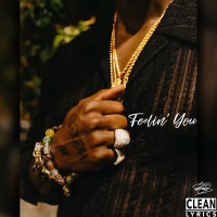 Feelin' You (Single)
