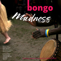 Bongo Madness