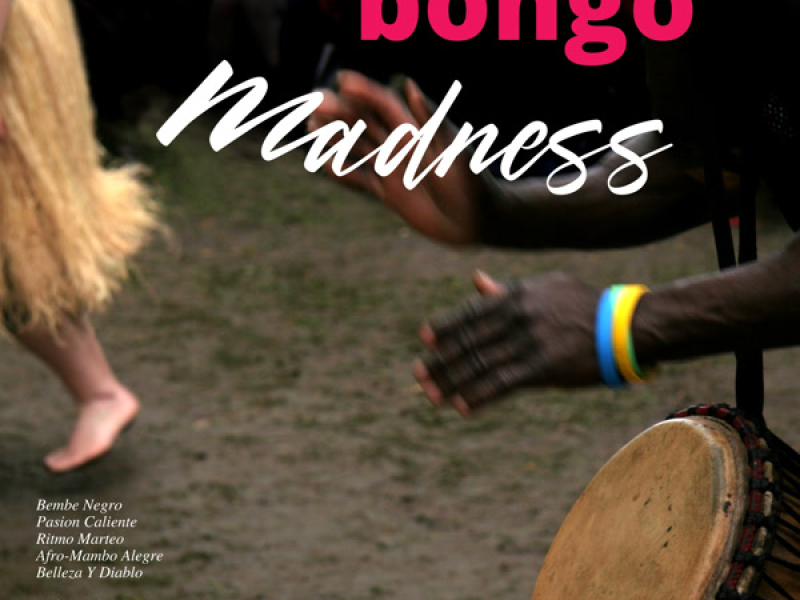 Bongo Madness