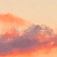 Accusations (Single)