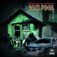 Dam Fool (Single)