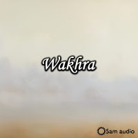 Walk More Rest Less (Single)