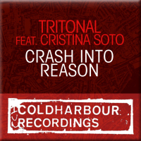 Crash Into Reason (Single)