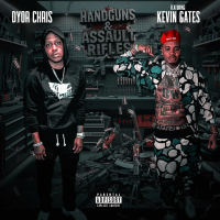 Handguns & Assault Rifles (Single)