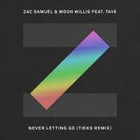 Never Letting Go (Tieks Remix) (Single)