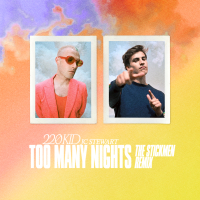 Too Many Nights (The Stickmen Remix) (Single)