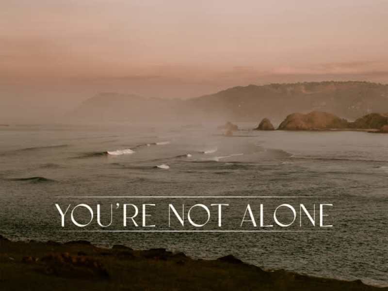 You're Not Alone (Single)