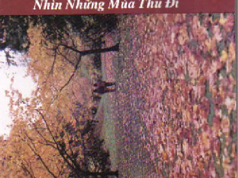 Vo Thuong Guitar Nhin Nhung Mua Thu Di (Single)