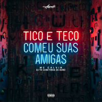 Tico e teco meu suas amigas (Single)