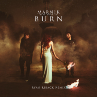 Burn (Ryan Riback Remix) (Single)