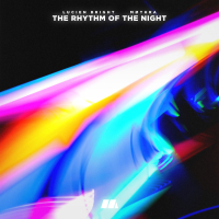 The Rhythm of the Night (Single)