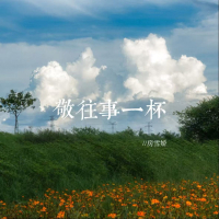敬往事一杯 (人生感悟语录) (Single)