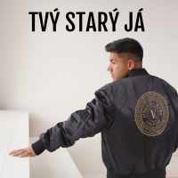 Tvý Starý Já (Single)
