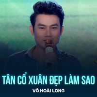 Tân Cổ Xuân Đẹp Làm Sao (Single)