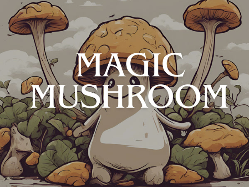 MAGIC MUSHROOM (Single)
