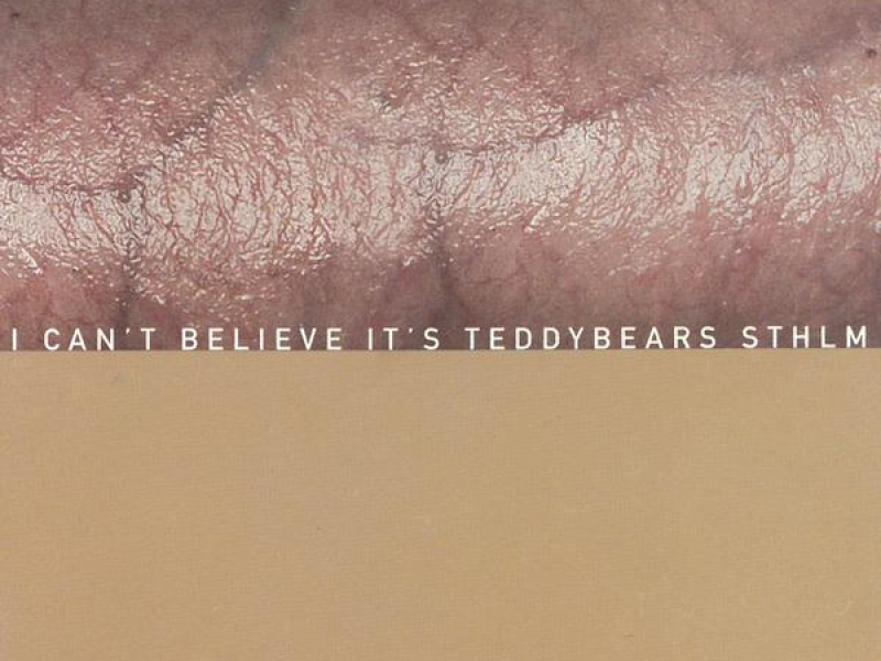 I Can't Believe It's Teddybears STHLM
