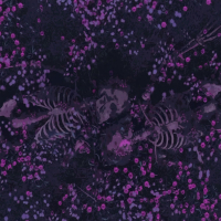 Lecon d'Amour (Single)