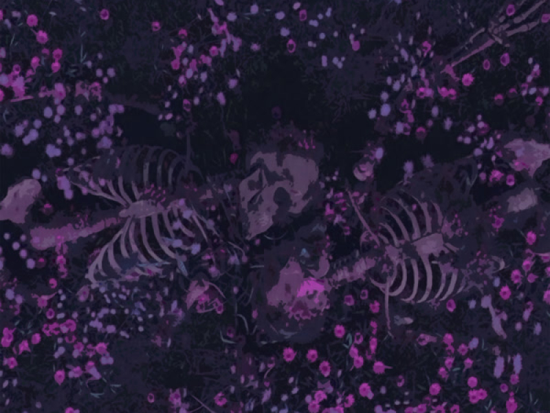 Lecon d'Amour (Single)