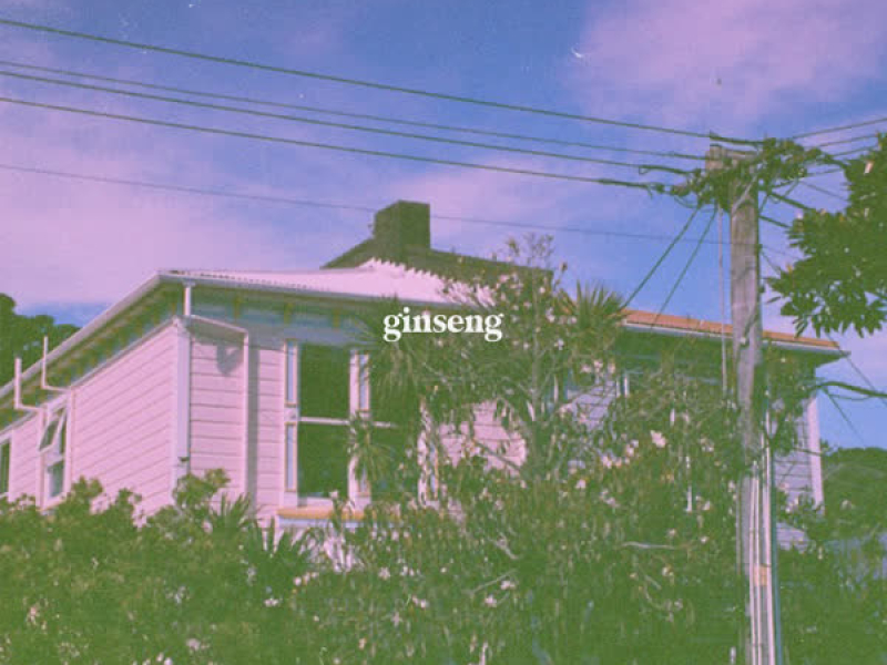 ginseng (Single)