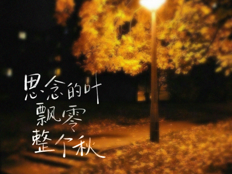 思念的叶飘零整个秋 (Single)