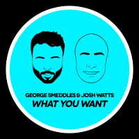 What You Want (Single)