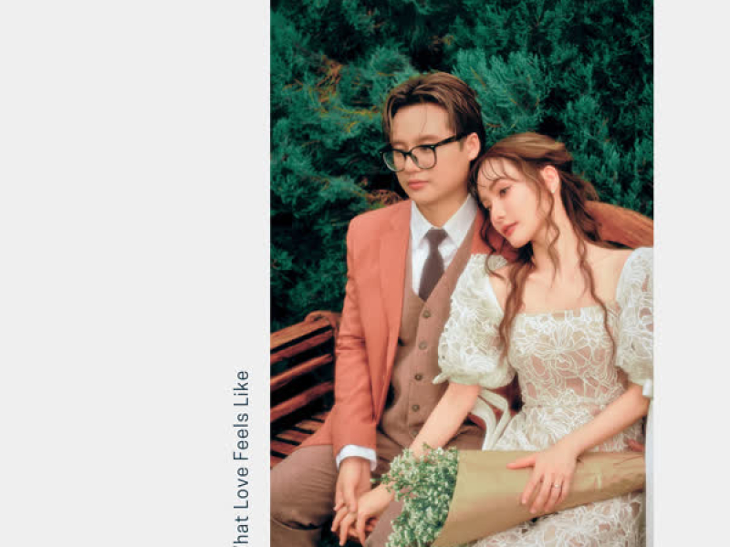 What Love Feels Like (Single)