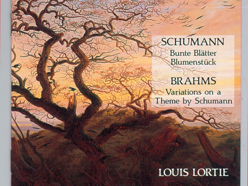 Schumann & Brahms: Piano Works