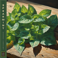 Spearmint (Single)