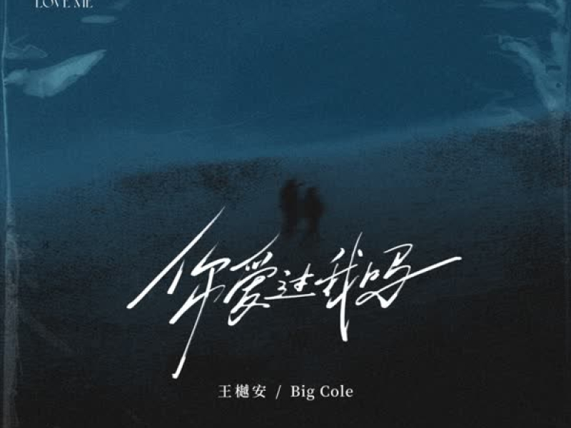 你爱过我吗 (梧桐立 心已空) (Single)