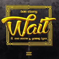 Wait (feat. Oso Ocean & Young Lyxx) (Single)