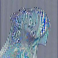 Discreet Moment Thing Pt. 2 (EP)