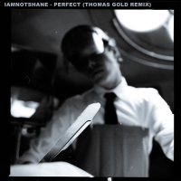 Perfect (Thomas Gold Remix) (Single)